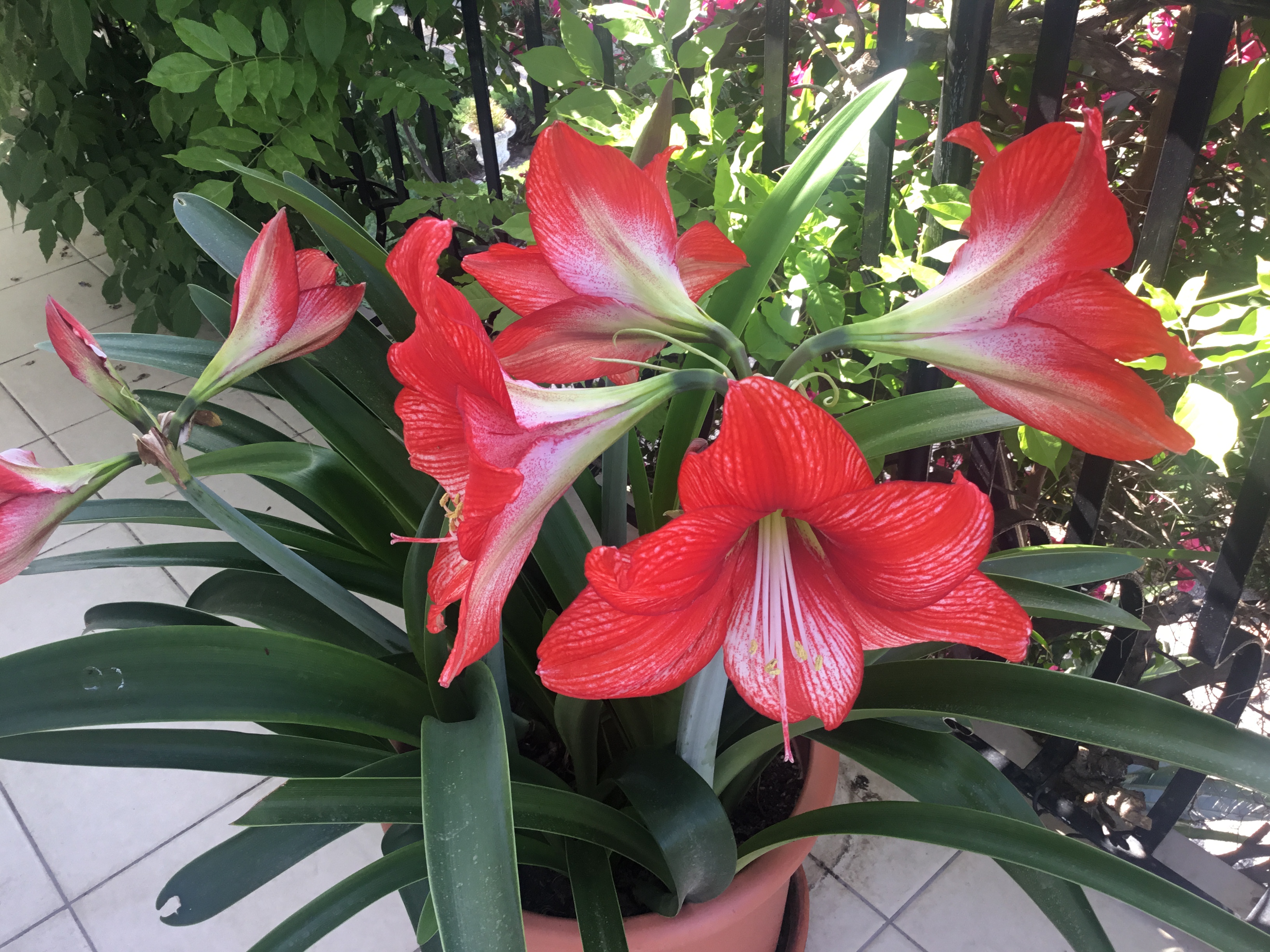 cover Finally time for some gardening