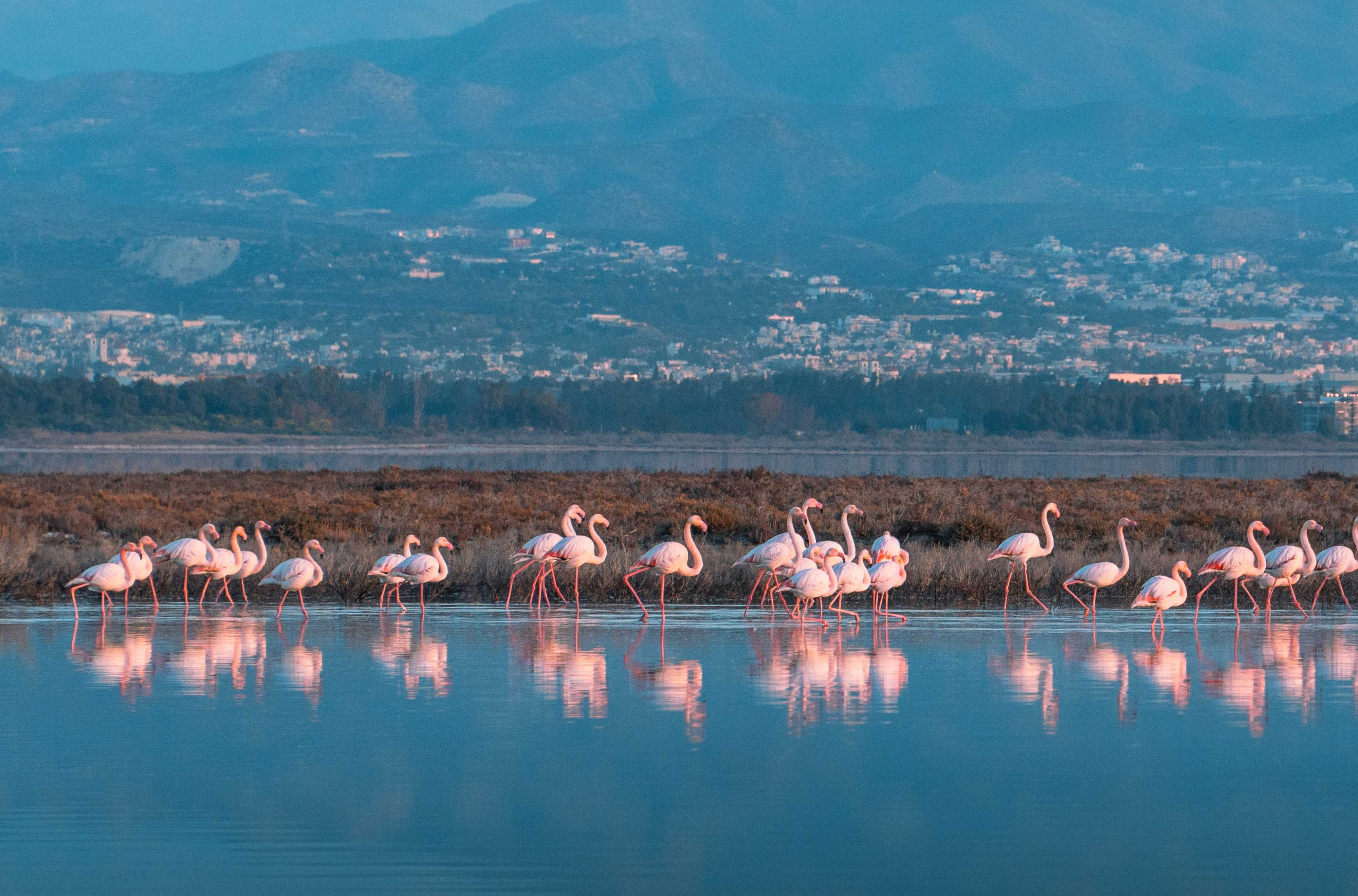 cover Tepak to work on new Cyprus tourism app