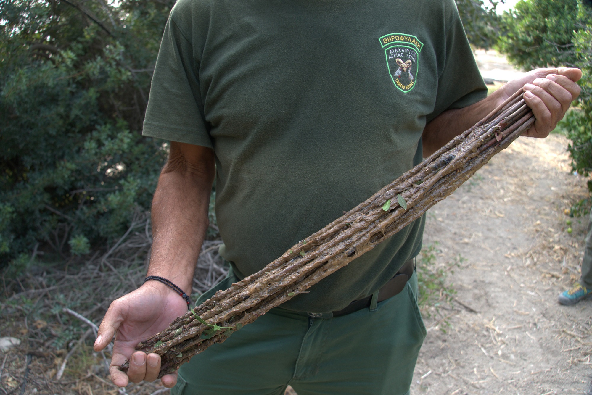 cover Police crackdown on illegal bird trappings