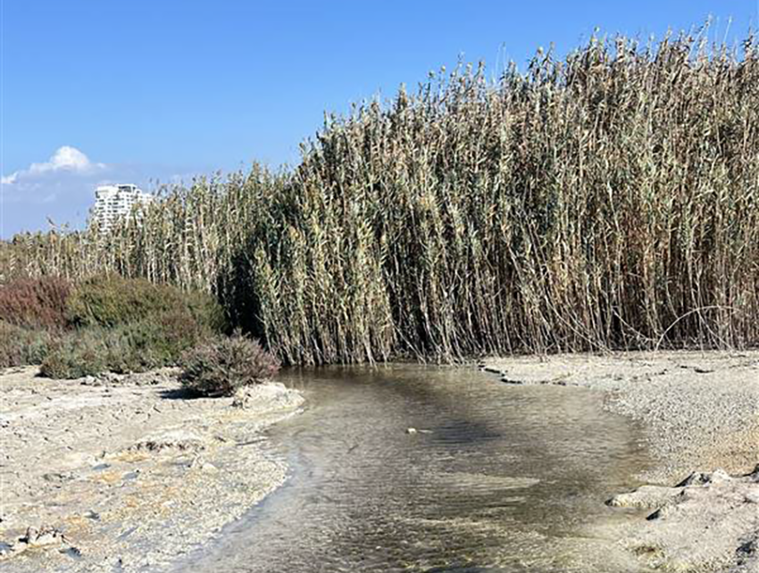 image Evidence mounts of Akrotiri wetland crisis