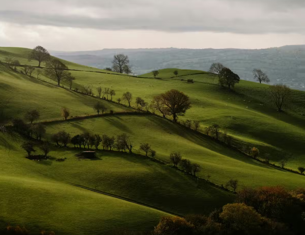 cover Forever lost in translation