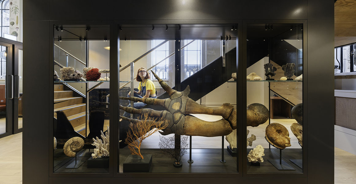 cover Experts call for creation of Cyprus’ first natural history museum