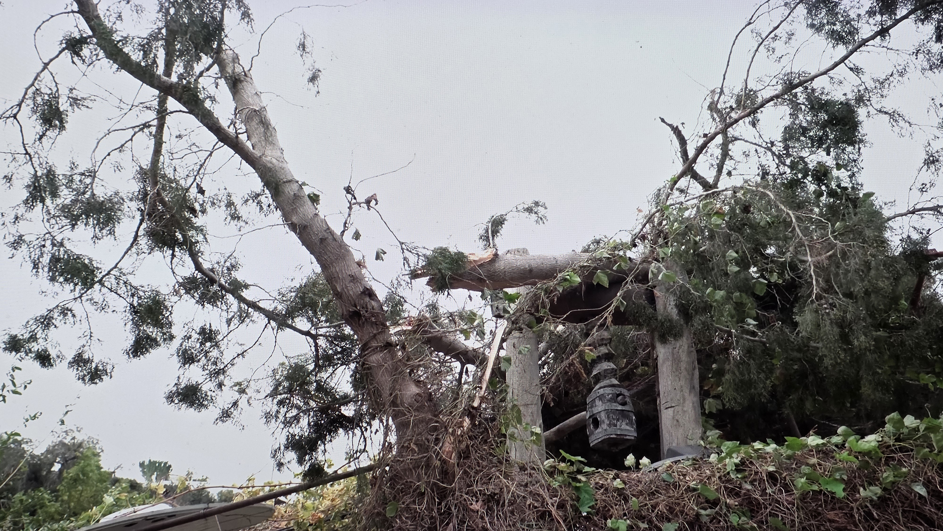 cover Fresh yellow weather warning issued for Sunday