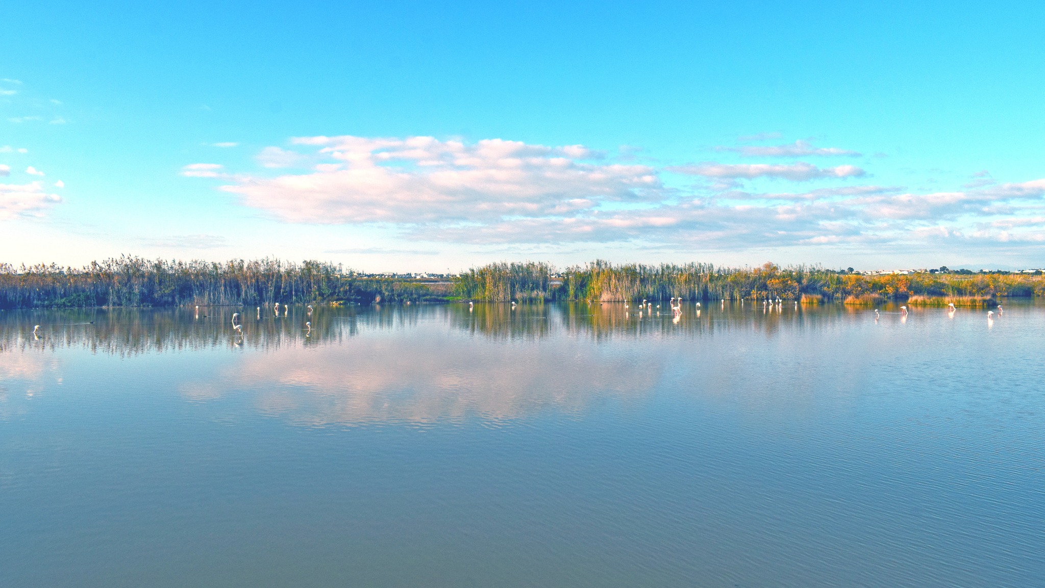 cover World Wetlands Day in Paralimni