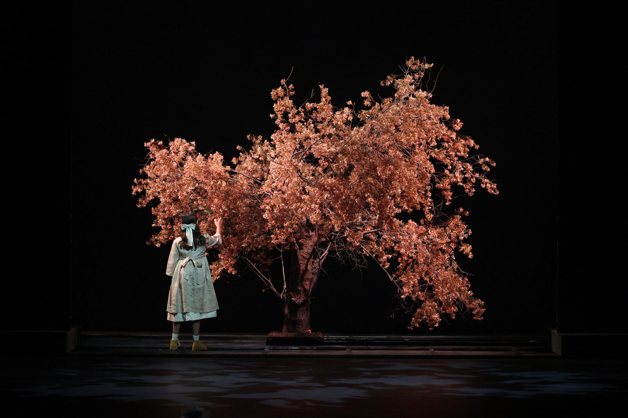 cover Local artists take centre stage at EU council presidency opening