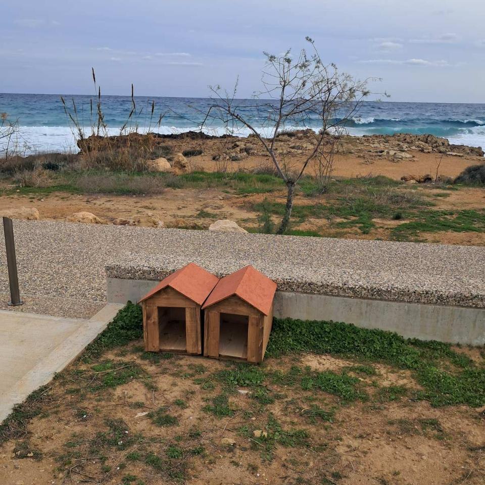 cover Kennels for stray cats installed in Paralimni