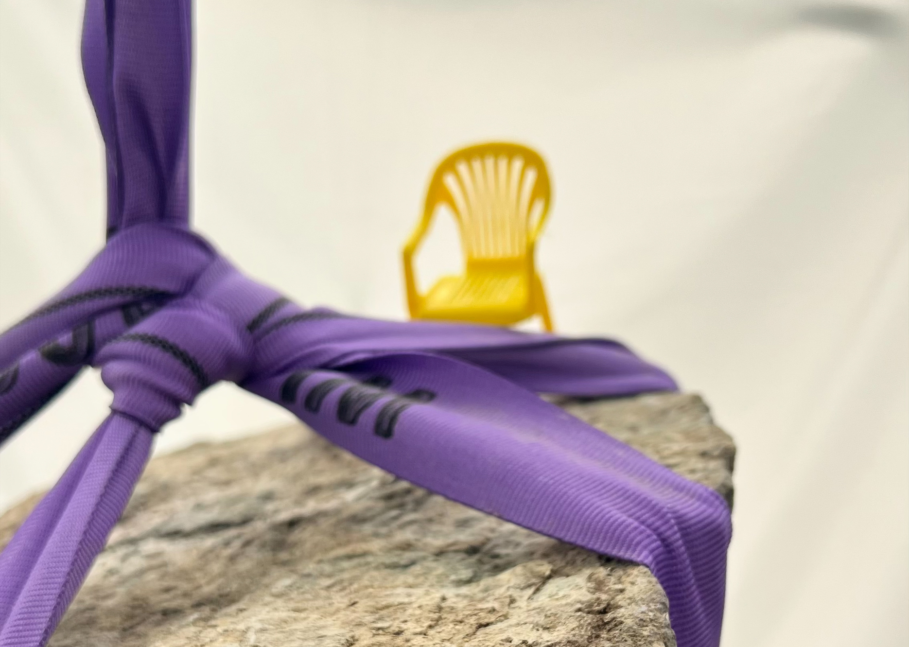 cover The promise that remains