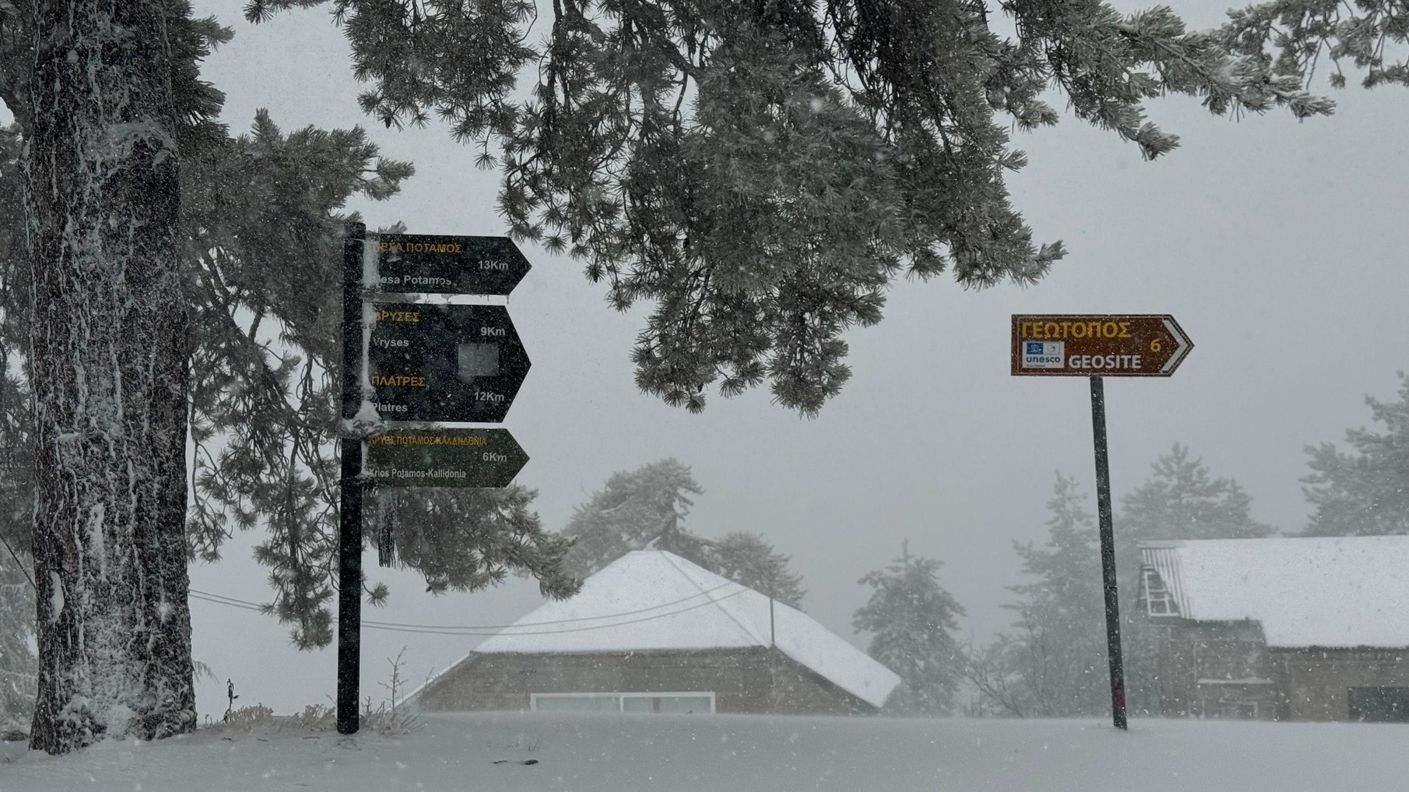 cover Rain over the next days, snow on Troodos 28cm