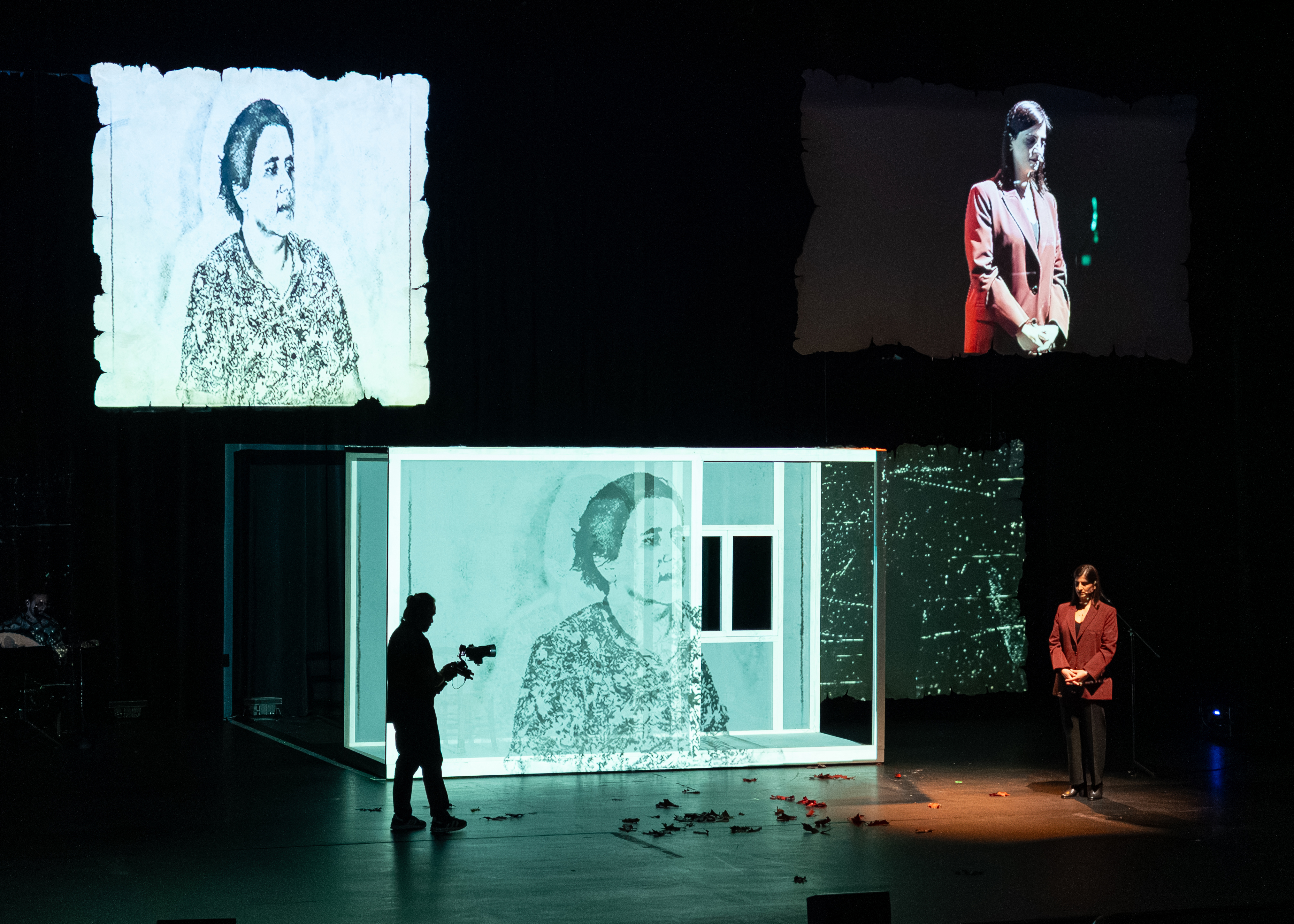 image My Grandmother Kyriakou returns to Nicosia stage