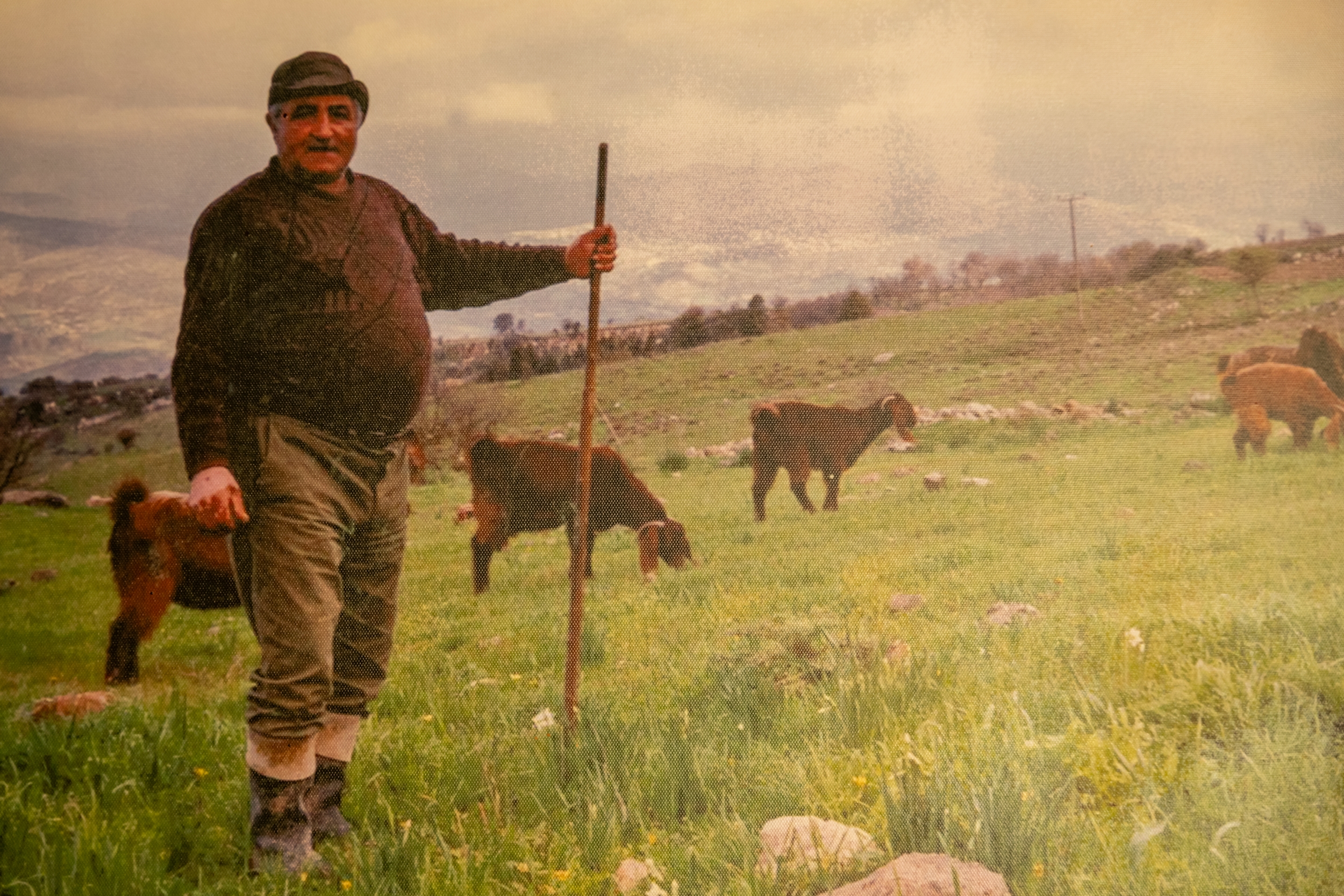 cover Artists and farmers meet at first PIKNIK event