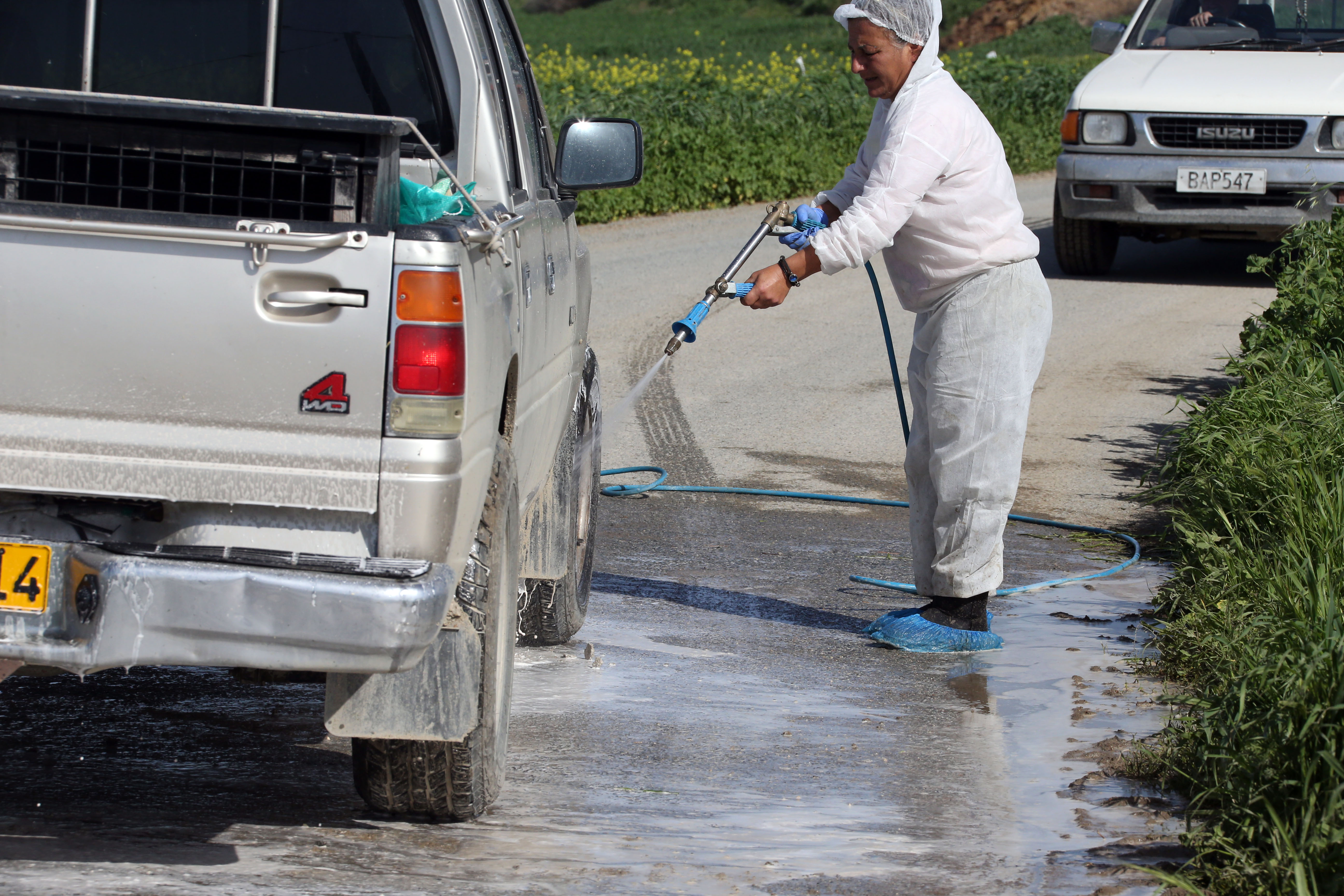 cover Foot-and-mouth outbreak triggers quarantine and mass culling in Larnaca