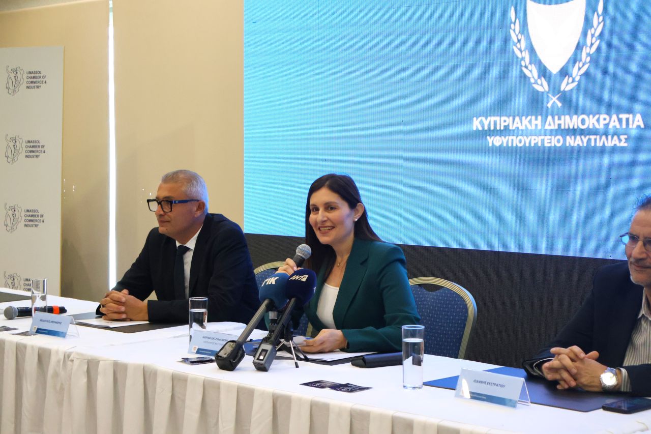 cover Shipping minister says 11 Cyprus-flagged ships in Gulf are safe