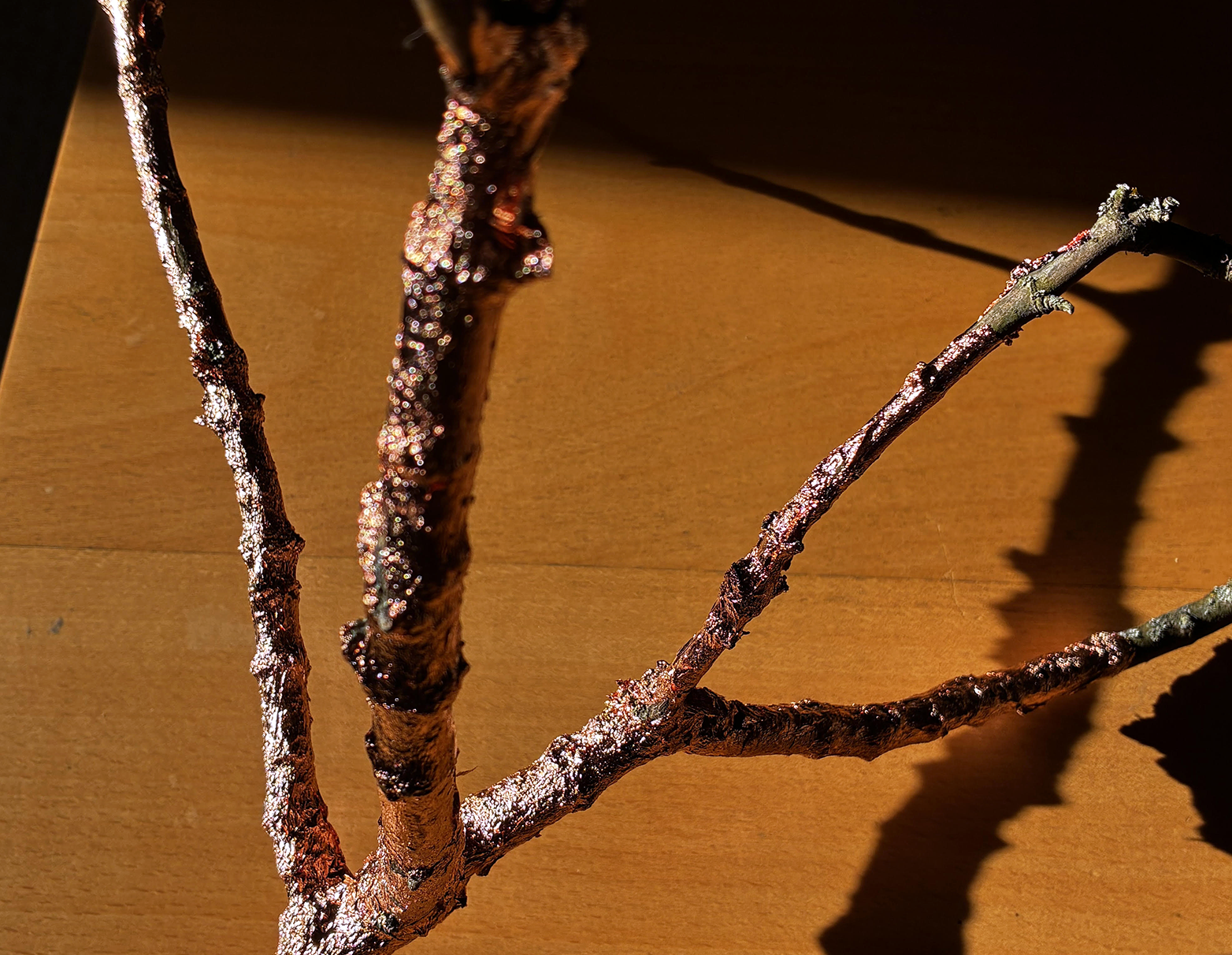 cover Four university artists present a Limassol exhibition