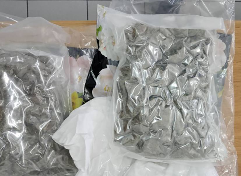 cover Remand after 872.9g cannabis seized in Nicosia