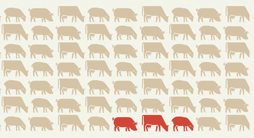 cover Website on foot-and-mouth disease launched