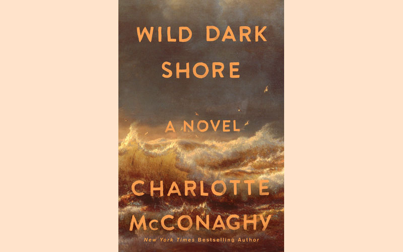 cover Book review: A story of grief reflected in environmental concerns