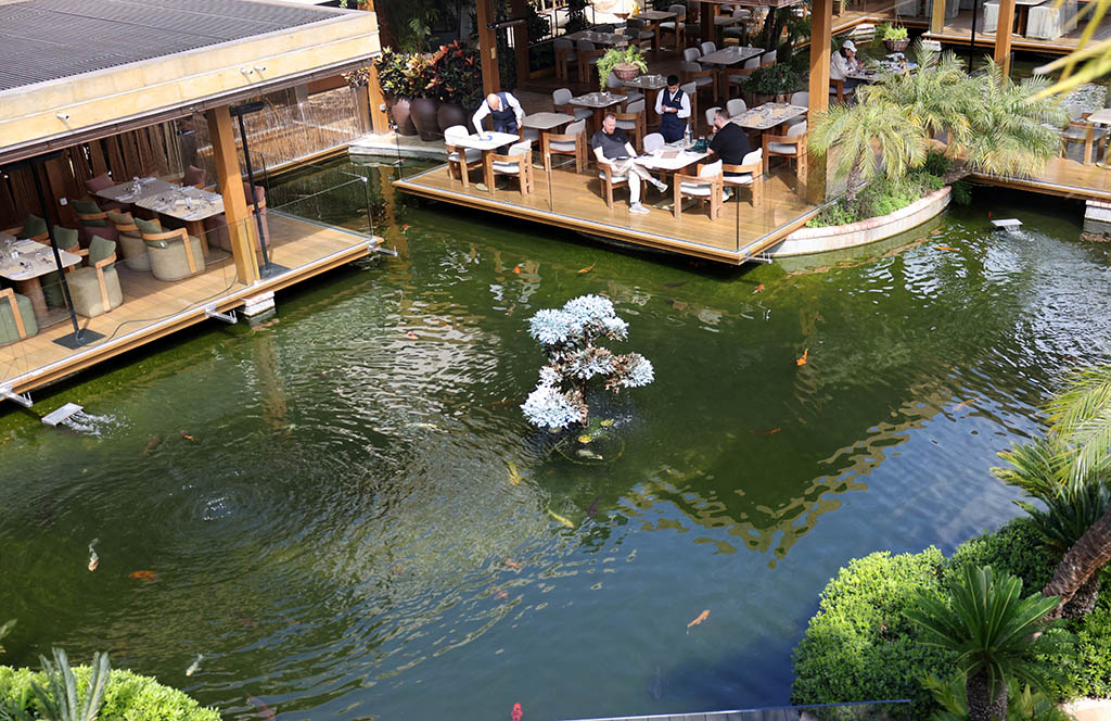 cover Inadequate responses by Europe to the impact of Iran war