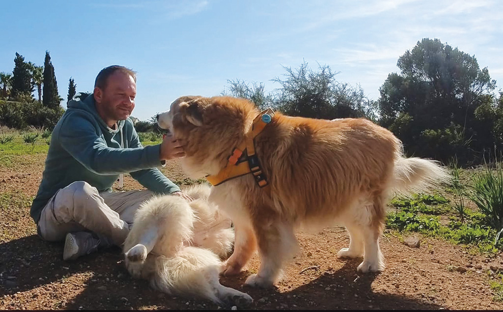 cover Getting to grips with our dogs