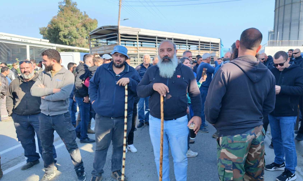 cover Veterinary services dept implores farmers not to gather for foot and mouth protest