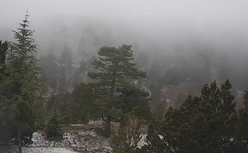 cover Light snowfall on Troodos mountains