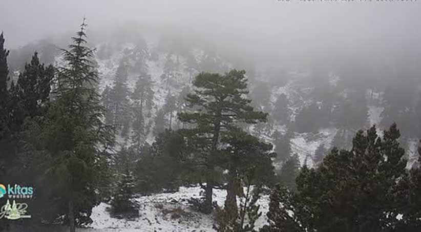 cover The last snow of winter?