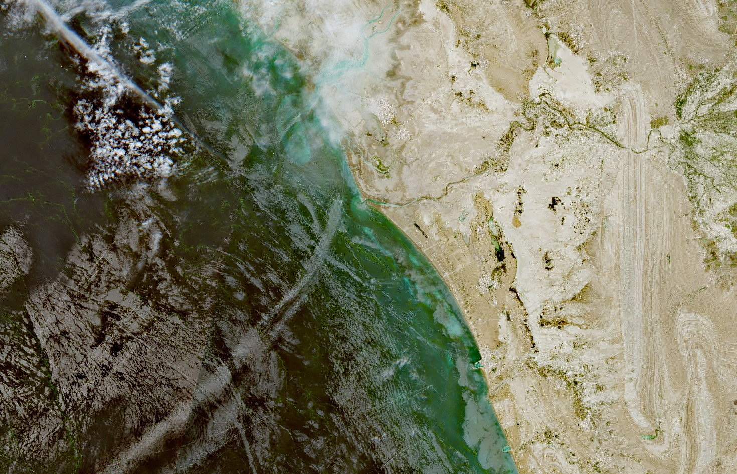 cover Trump says US will not use nuclear weapon in Iran war