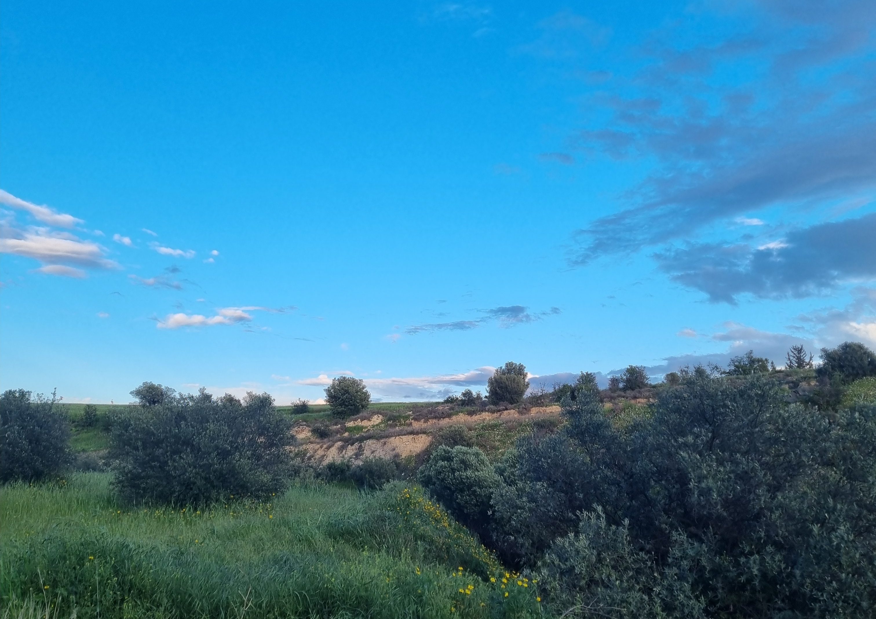 cover Today’s weather: Mild temperatures, partly cloudy in the afternoon