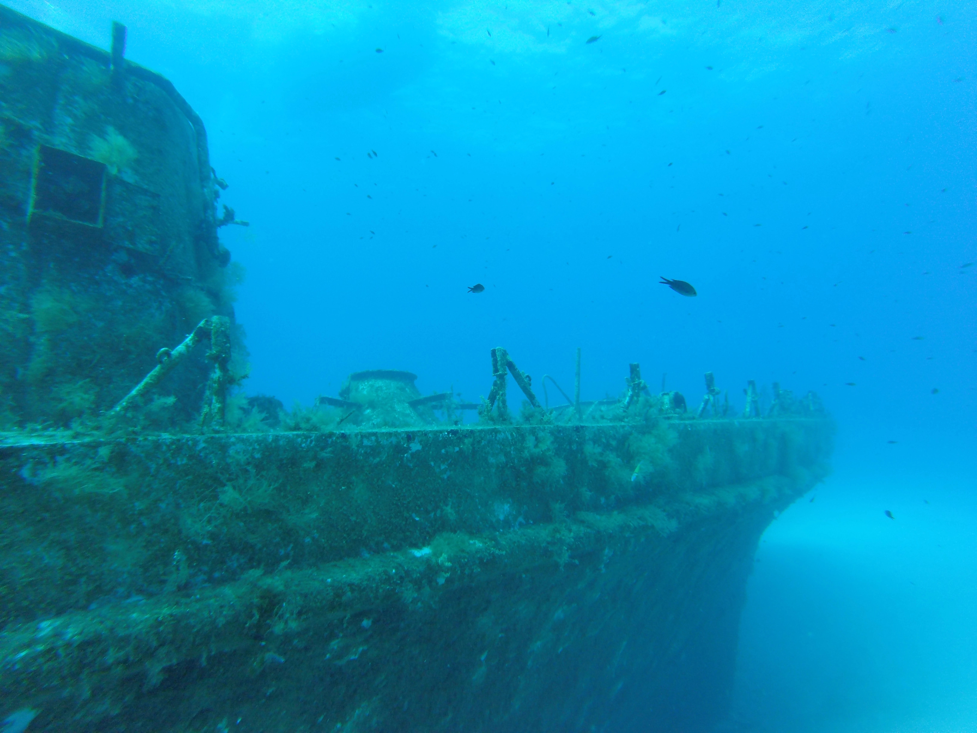 cover Limassol plans three artificial shipwrecks to attract divers