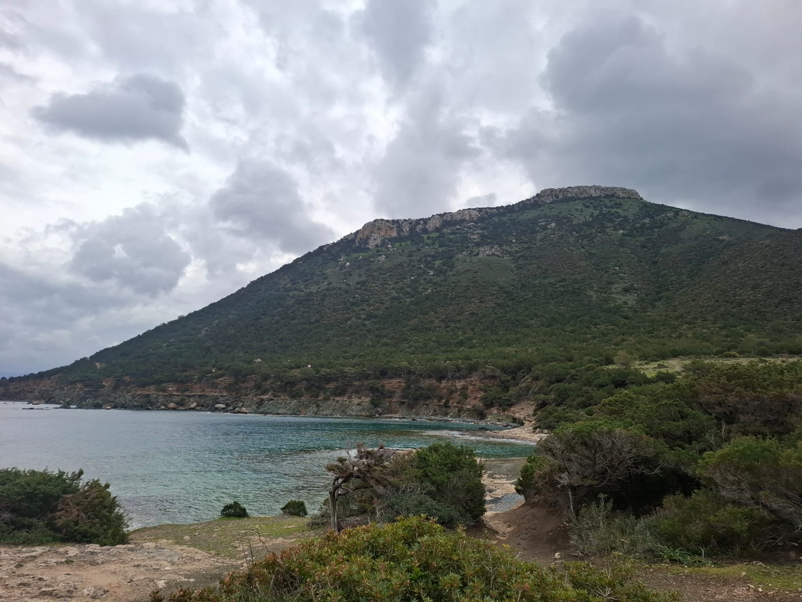 cover Environmental organisations concerned over ministry’s Akamas response