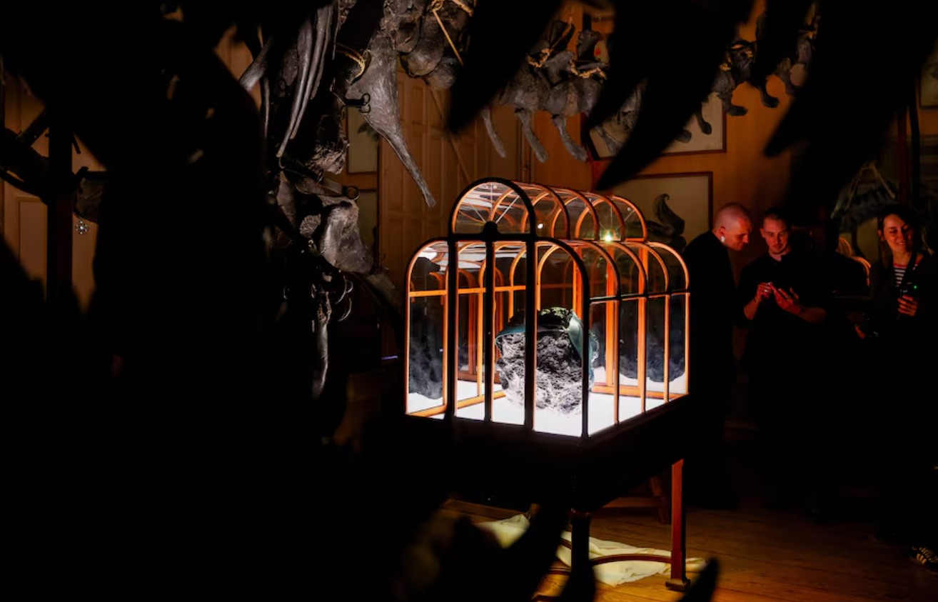 image Dinosaur collagen used to create one-of-a-kind handbag