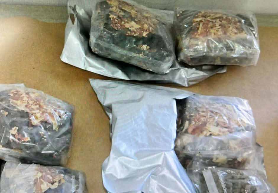 cover Nearly 3kg cannabis seized at airport