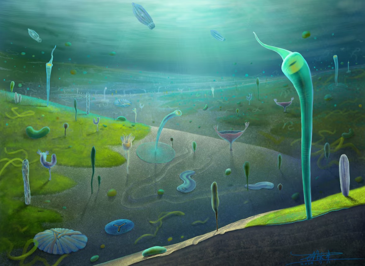 image Chinese fossils reveal a primordial burst of animal evolution