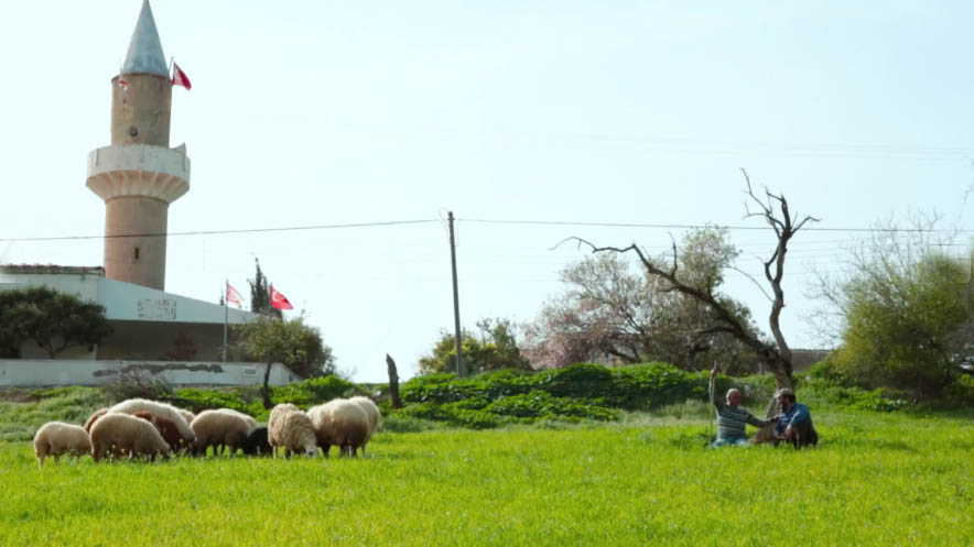 cover Cypriot film &#8216;Sofoklis&#8217; to premiere online on checkpoint anniversary