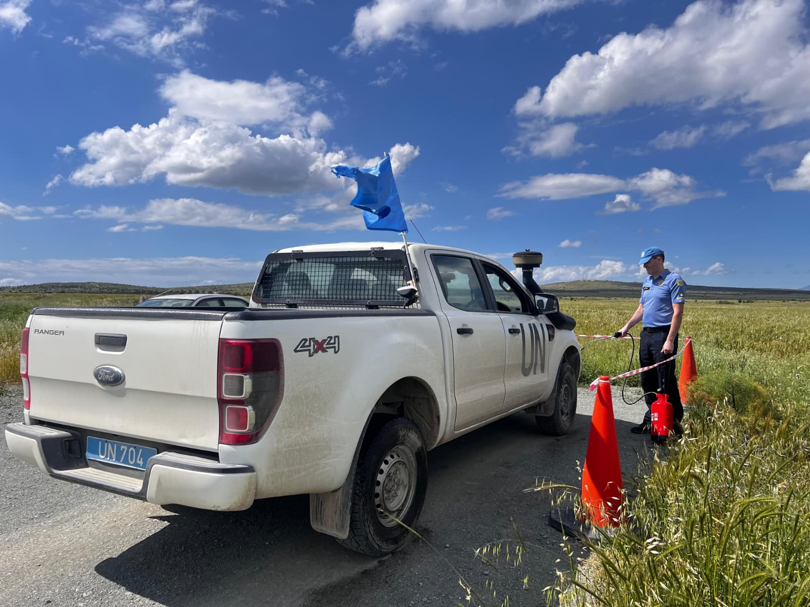 Four thousand pigs to be culled