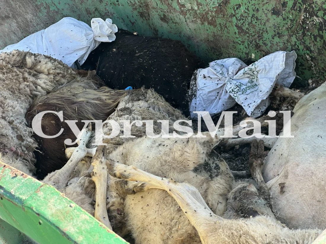 cover Complaints resurface over animal burials amid FMD outbreak