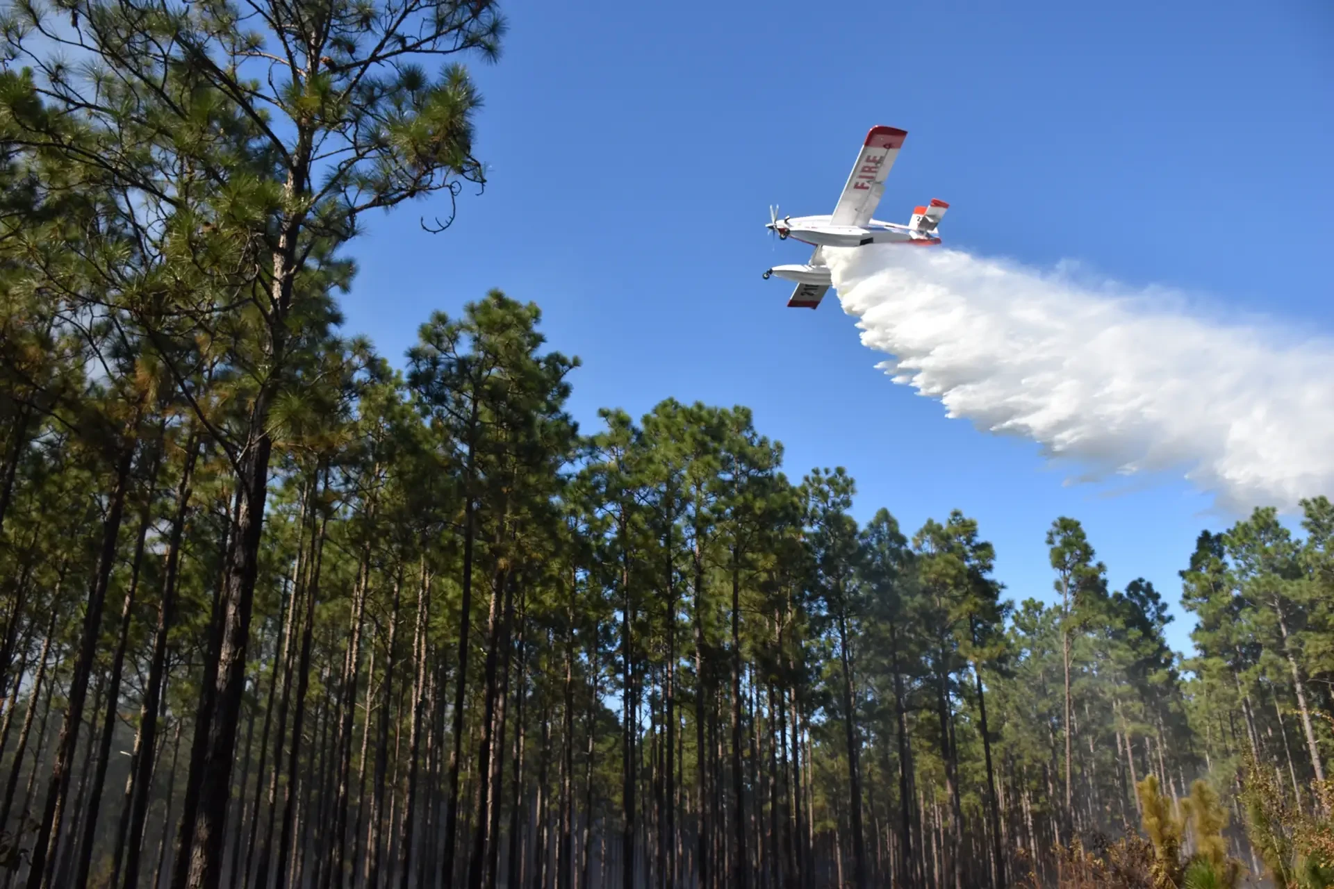 cover Forest fire aircraft exercise in Troodos scheduled for Tuesday