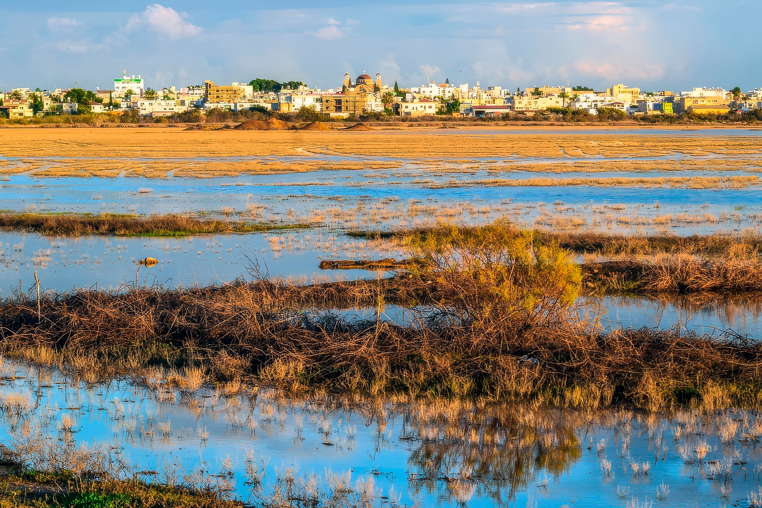 cover Dozens of groups reject development plans at Famagusta port wetland