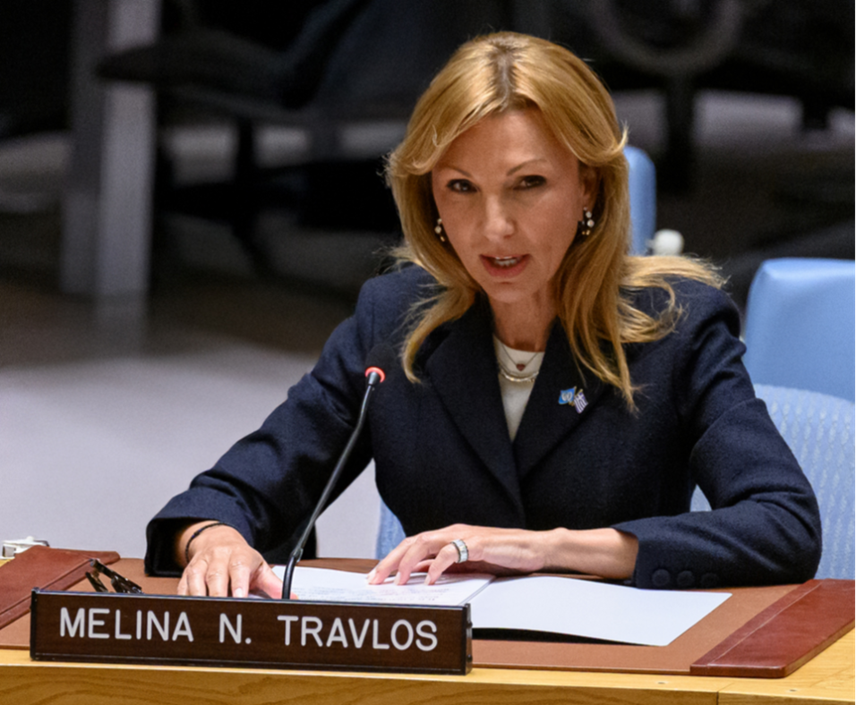 image Maritime security must be a non-negotiable global duty says shipowners president
