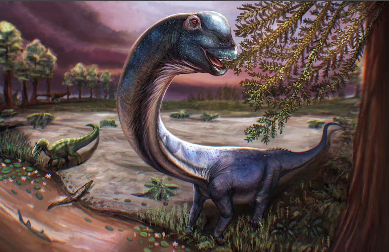 cover Scientists dig up Southeast Asia&#8217;s largest dinosaur in Thailand