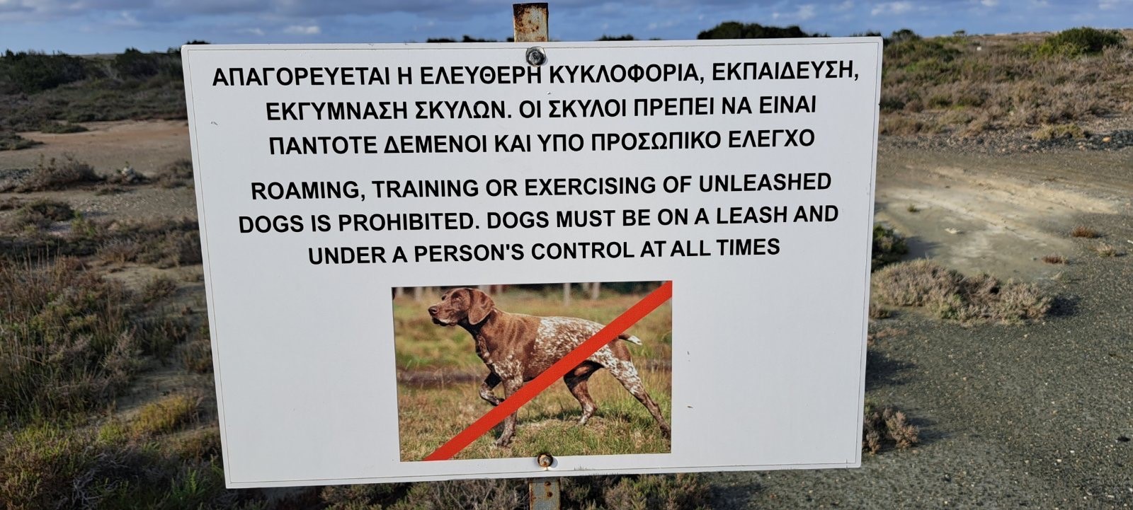 cover SBA authorities step up action against illegal hunting dog training