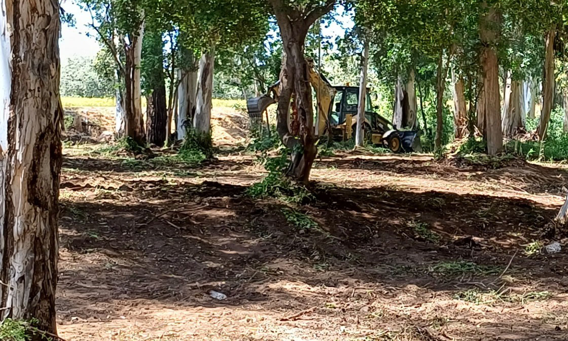 cover Our View: Will concrete be kept at bay in Polis campsite upgrade?