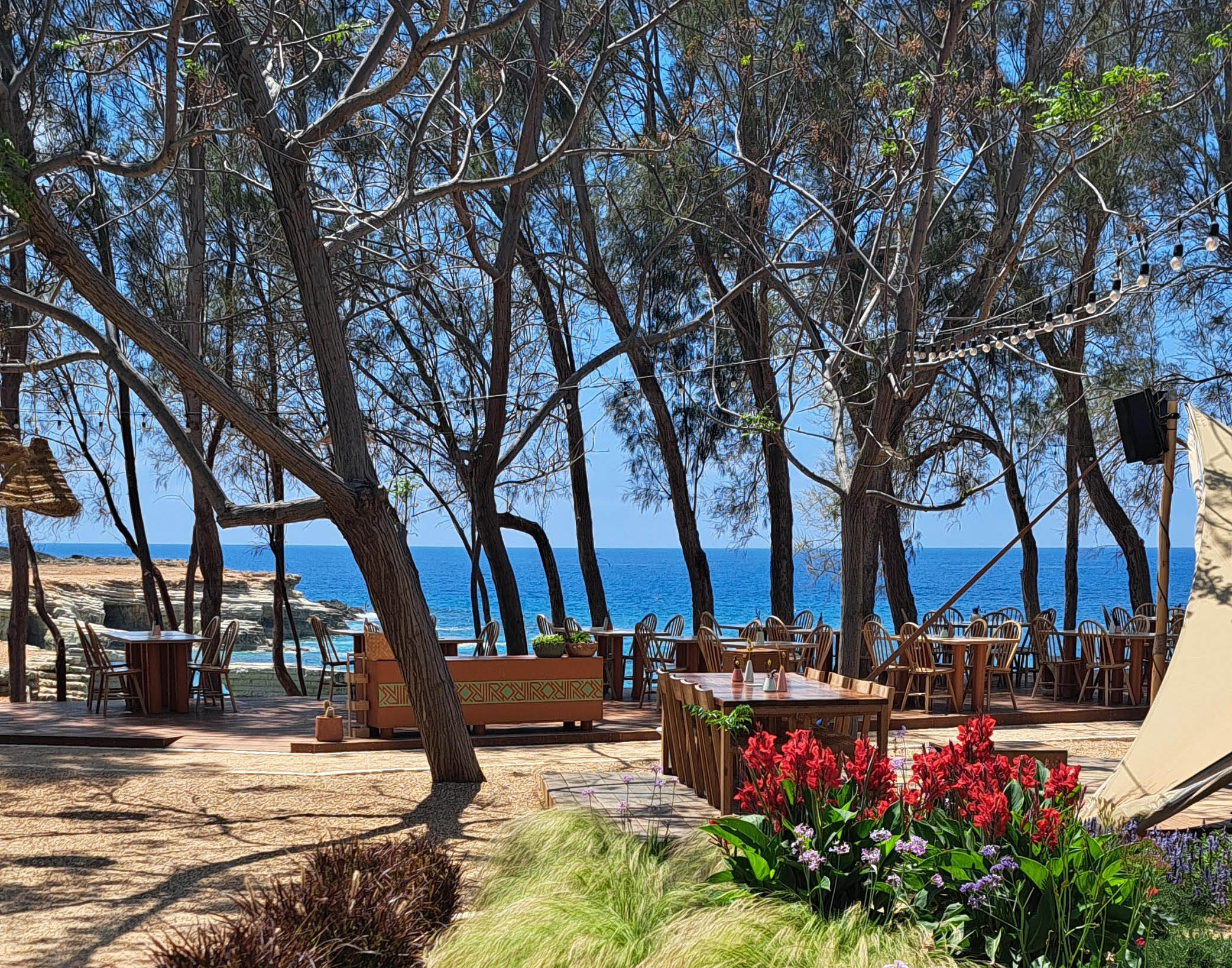 cover Restaurant review: Paphos favourite back to the good old days