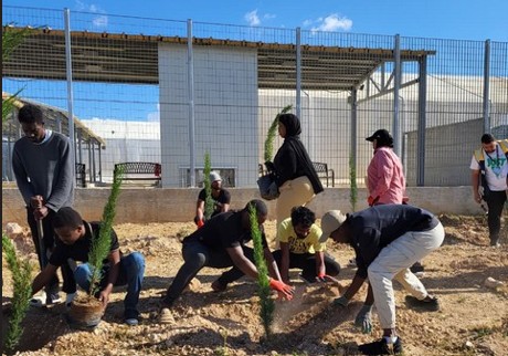 cover Tree planting initiative takes places at Pournara migrant centre