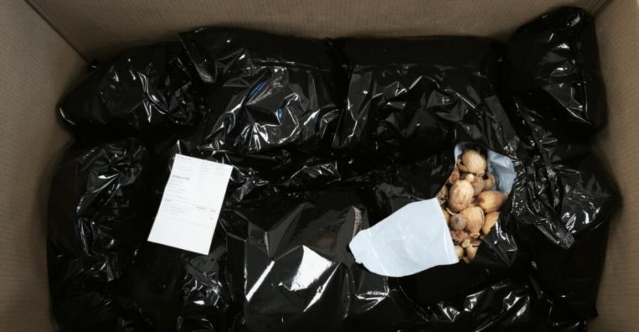 cover Police probe TikTok opium ring after seizures exceed 20kg