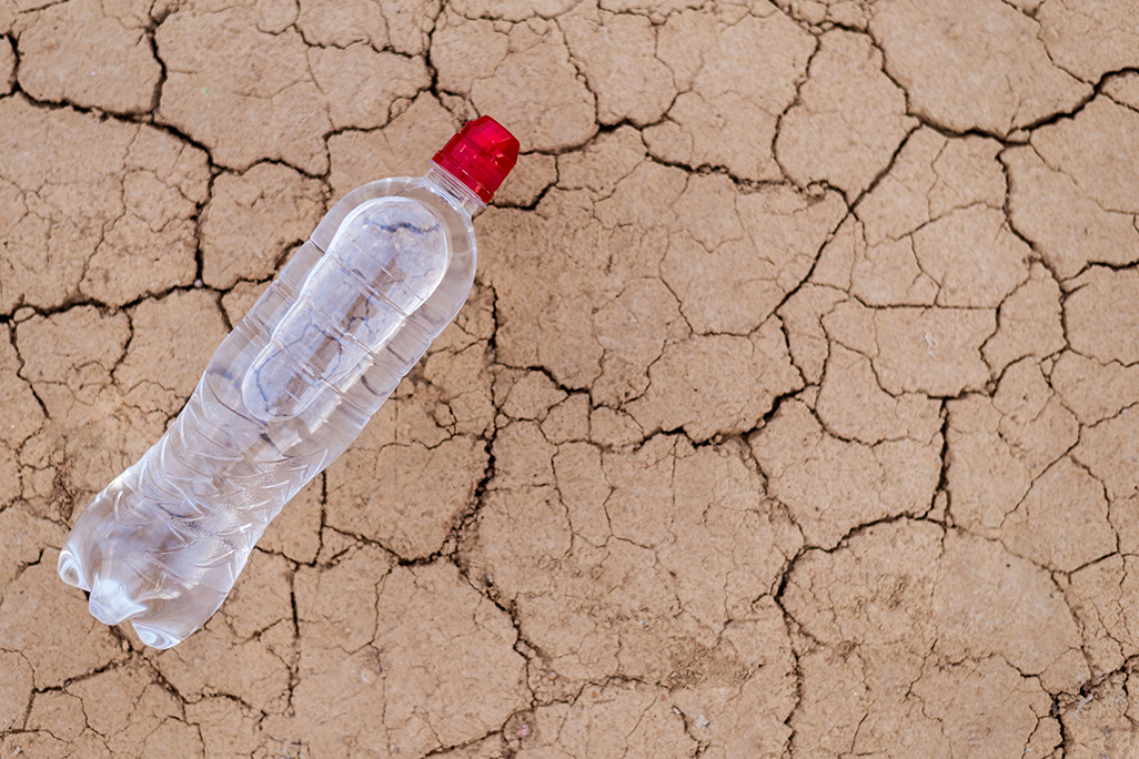 cover Dozens die of thirst in Sahara desert after truck breakdown