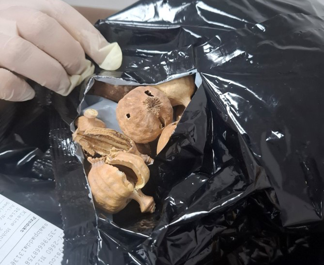cover Customs dept seizes opium poppies at Larnaca airport