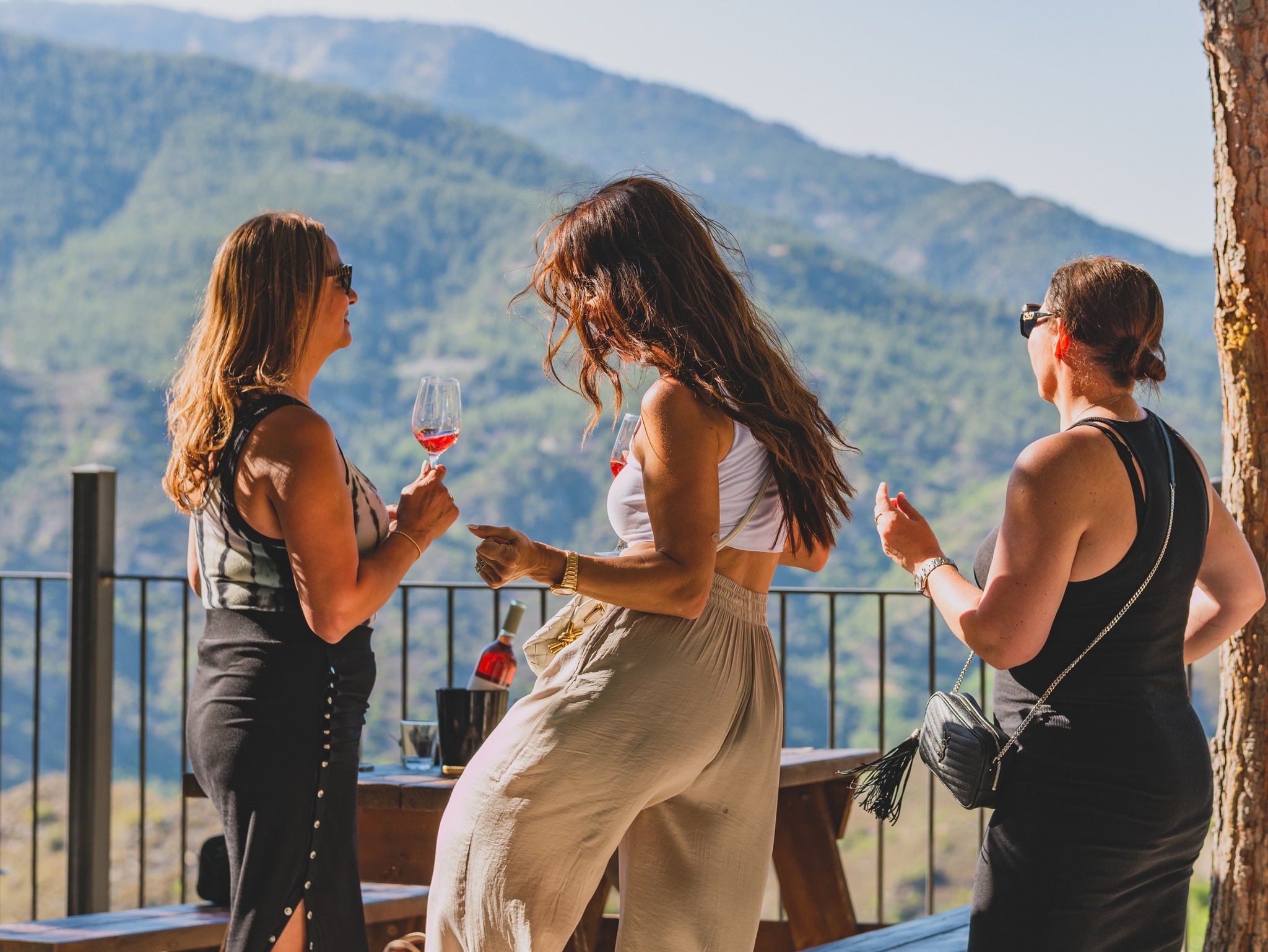 image Oenogastronomic nights coming up at rural winery