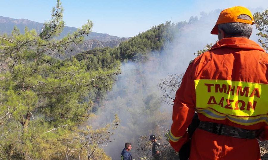 cover Suspected arson investigated after fire breaks out in Paphos