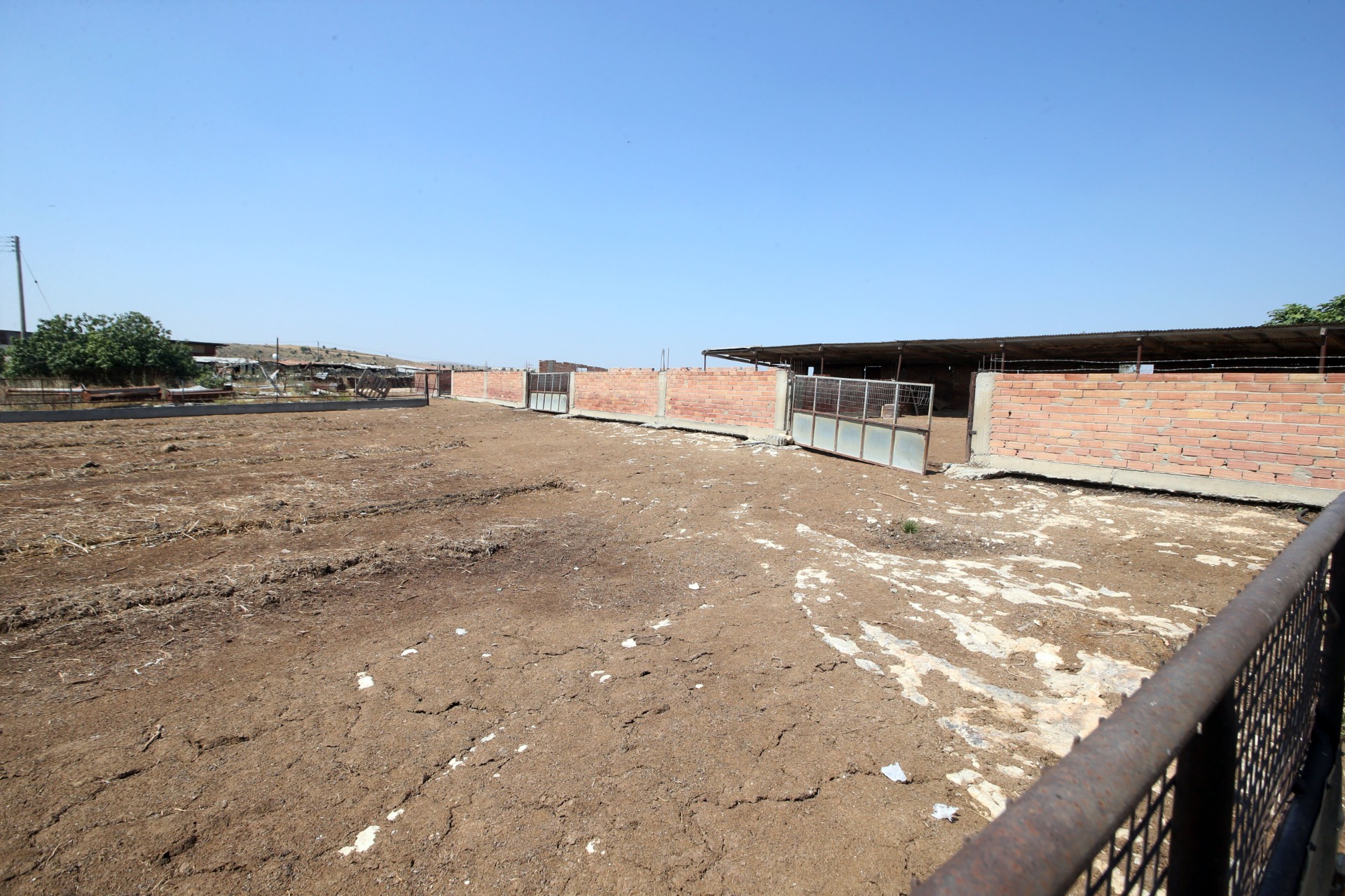 cover FMD farmers claim state is avoiding full compensation payments