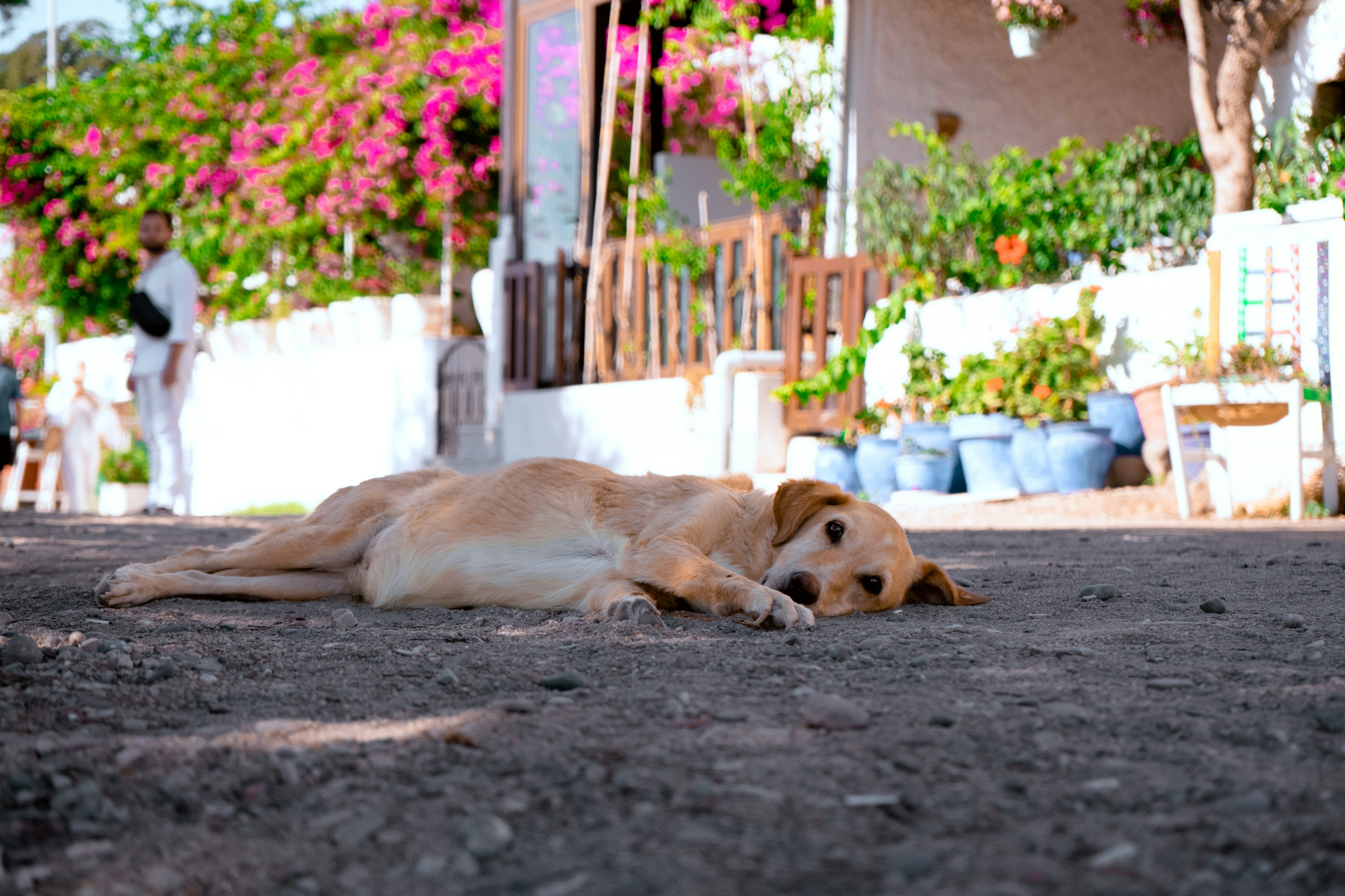 cover Why Cyprus’ extreme heat is more dangerous than you think